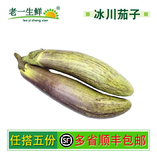冰川茄子新鲜蔬菜
