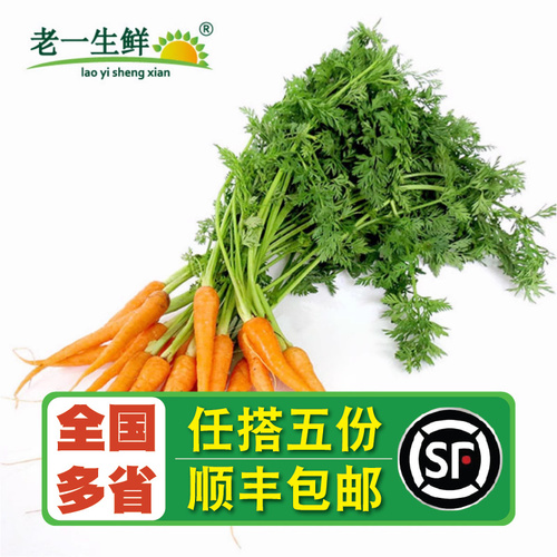【老一生鲜】新鲜蔬果带叶小胡萝卜迷你手指胡萝卜西餐蔬菜500g