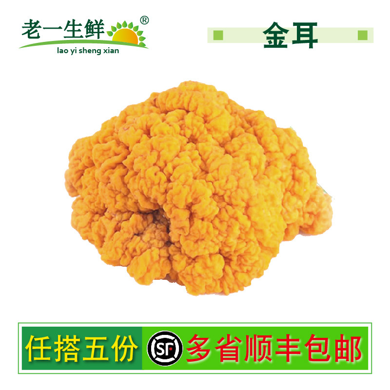 老一生鲜 黄金耳菌 新鲜菌菇 500g 多省任搭5件包邮