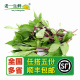 老一生鲜 新鲜九层塔食用叶金不换鱼香草三杯鸡冬阴功香料250g