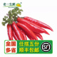 红辣椒 海花红辣椒 新鲜美人椒 500g 老一生鲜