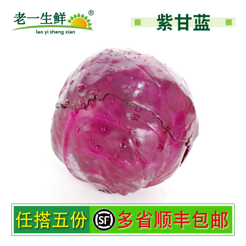 【老一生鲜】 新鲜蔬菜 沙拉菜 紫甘蓝 紫包 球生菜 约950g左右