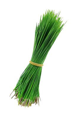 老一生鲜摆盘花草马尾松