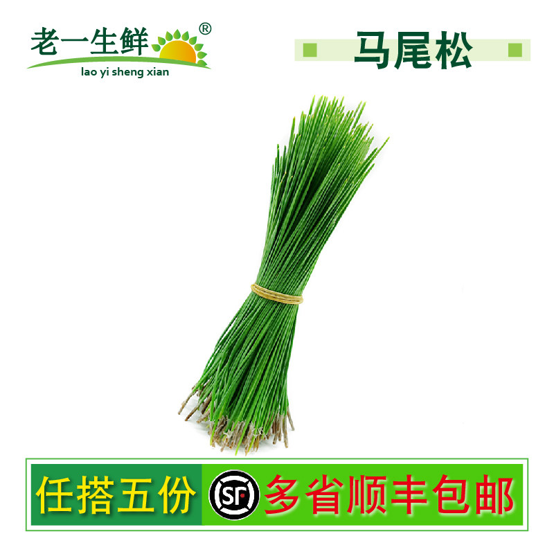 【老一生鲜】新鲜马尾松针细松针松树针20g酒店西餐日料摆盘装饰