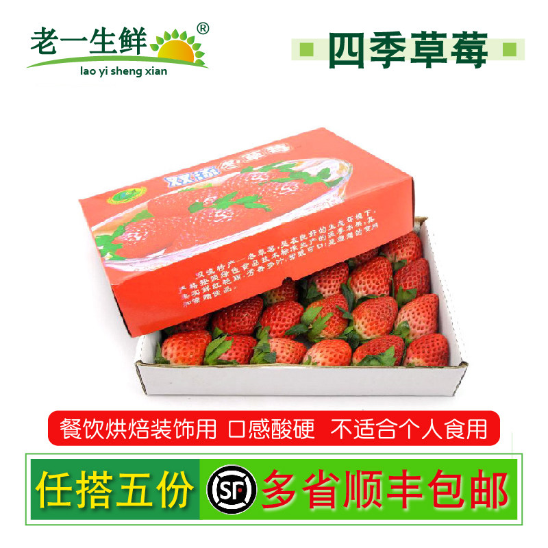 【老一生鲜】新鲜烘焙小草莓双流冬草莓 奶茶商用 酸草莓24-28粒