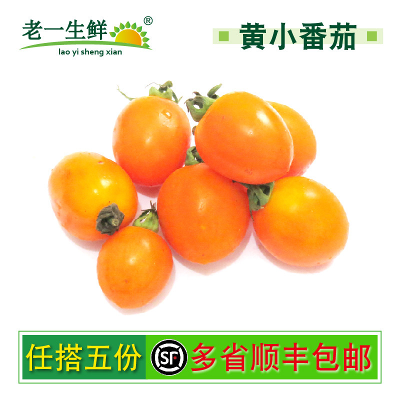 【老一生鲜】新鲜黄小蕃茄 黄圣女果 樱桃番茄 小西红柿  500g