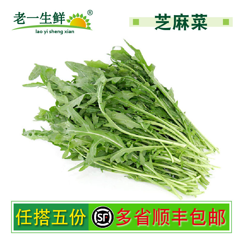 【老一生鲜】新鲜 芝麻菜 火箭菜 西餐蔬菜 沙拉菜 生菜 250g