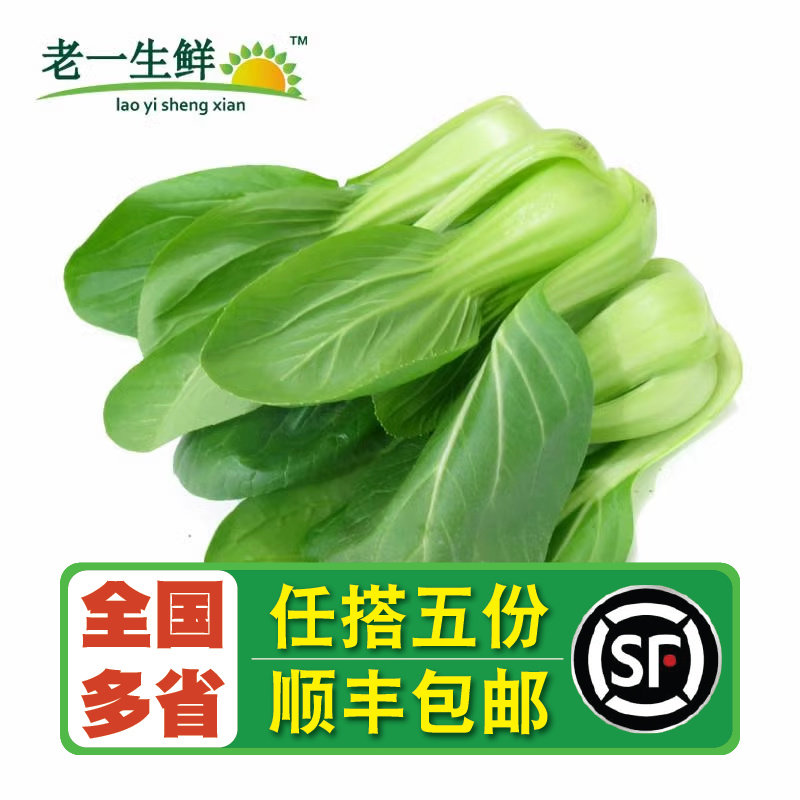 【老一生鲜】  新鲜蔬菜新鲜青菜 小青菜  蔬菜品种随机发货 500g,水产肉类/新鲜蔬果/熟食,其它,淘宝优惠券,粉丝福利购,淘宝优惠卷
