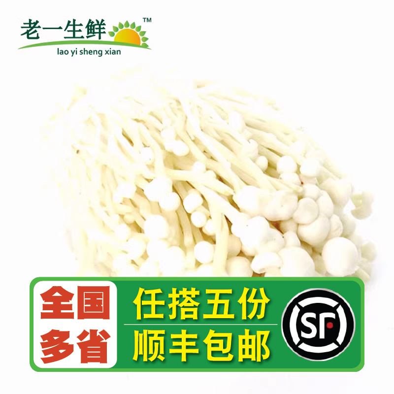 老一生鲜新鲜500g金针菇