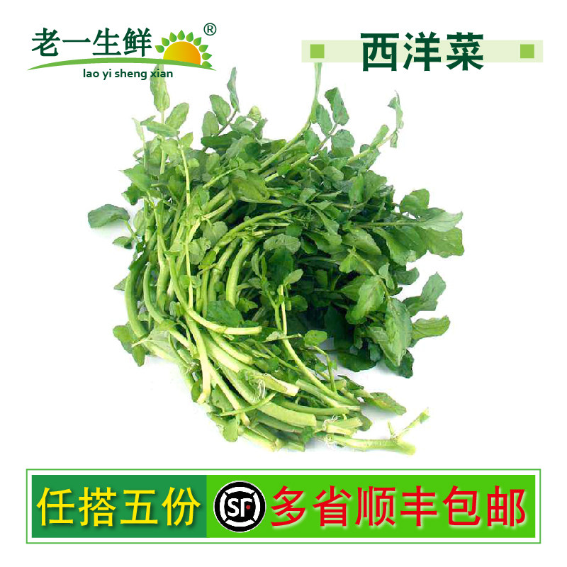 老一生鲜新鲜蔬菜西洋菜豆瓣菜