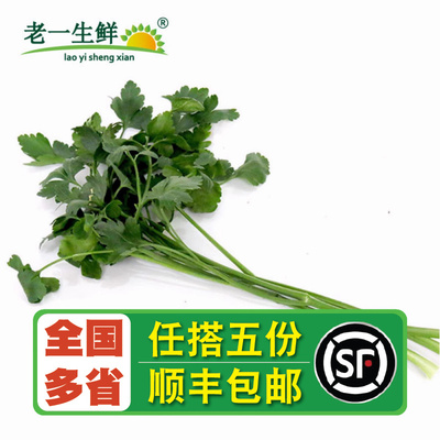 【老一生鲜】新鲜芹意大利欧芹