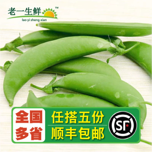 500g 甜豆 新鲜蔬菜 不能剥米 老一生鲜