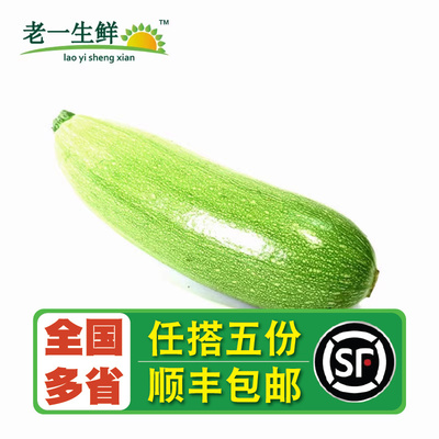 西葫芦番瓜美洲1000g新鲜蔬菜