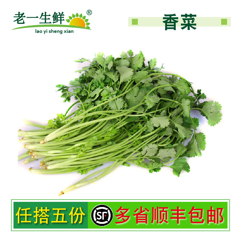 【老一生鲜】 新鲜蔬菜 香菜 芫荽 250g