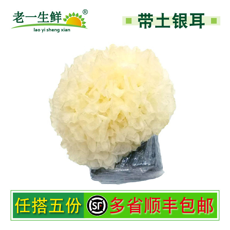 老一生鲜1朵200克新鲜蔬菜