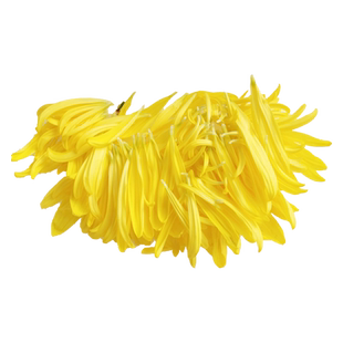 【老一生鲜】新鲜菊花花瓣 黄菊花 花瓣 西餐装饰摆盘 菊花