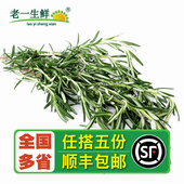 食用 迷迭香 新鲜香料 烧烤烘焙调料西餐煎牛排250克 老一生鲜