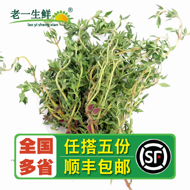 【老一生鲜】新鲜香料 百里香 西餐牛排烘焙烧烤食用调料配料250g