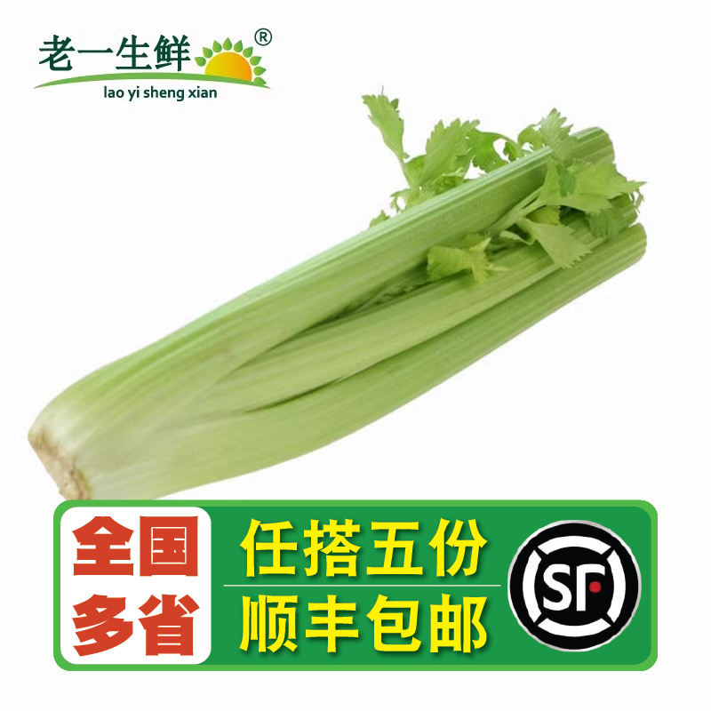 【老一生鲜】 新鲜蔬菜  新鲜西芹 约1000g