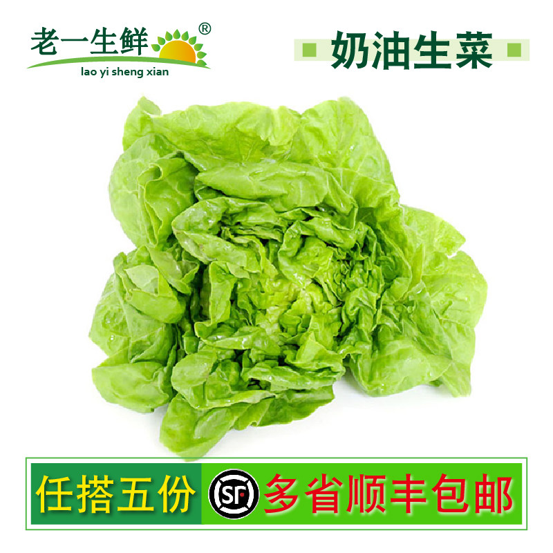 【老一生鲜】新鲜奶油生菜 波斯顿生菜西餐沙拉蔬菜 500g