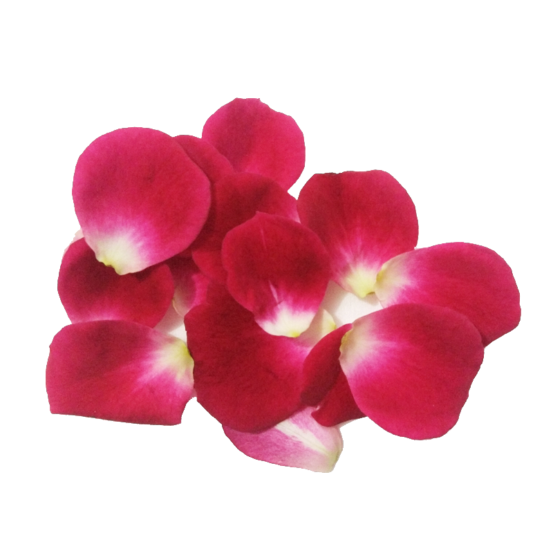 【老一生鲜】新鲜花 玫瑰花 红花瓣 10g左右 摆盘装饰