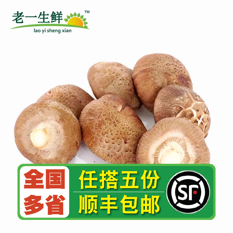 【老一生鲜】新鲜香菇蘑菇500g