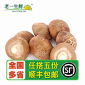 新鲜蘑菇 香菇 新鲜 500g 老一生鲜