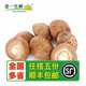 新鲜蘑菇 香菇 新鲜 500g 老一生鲜