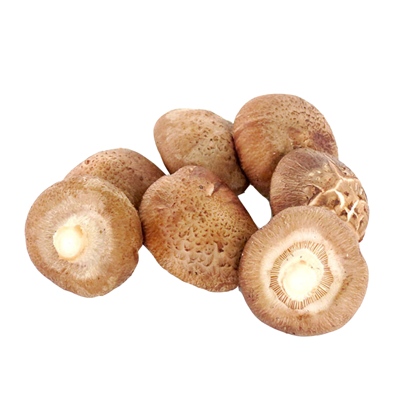 【老一生鲜】新鲜香菇蘑菇500g