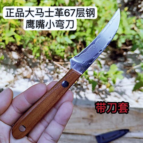 正品大马士革67层钢家用鹰嘴小弯刀锋利水果刀果皮刀厨房多用小刀