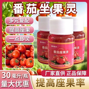 番茄授粉座果灵坐果灵樱桃西红柿专用点花防落素营养肥料