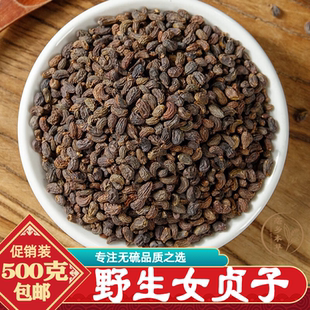 野生冬至采摘女贞子500g包邮正宗冬青树果女贞子旱莲草二至丸原料