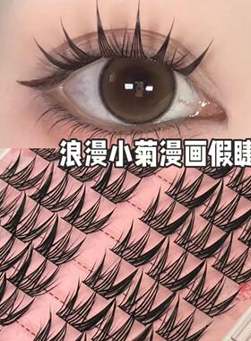 浪漫小菊尖尾漫画款自然假睫毛