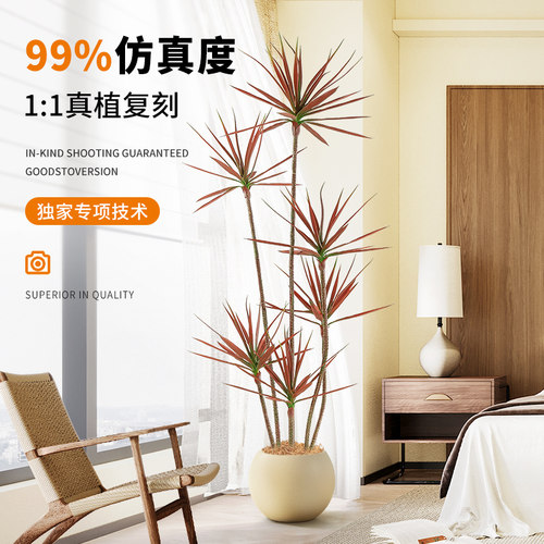 客厅轻奢绿植装饰发千年木仿真