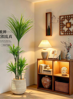 【抖音同款】仿生绿植摆件
