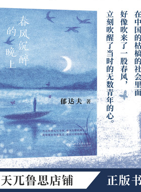 春风沉醉的晚上:新文学时期重要作家郁达夫代表作经典文学小说集