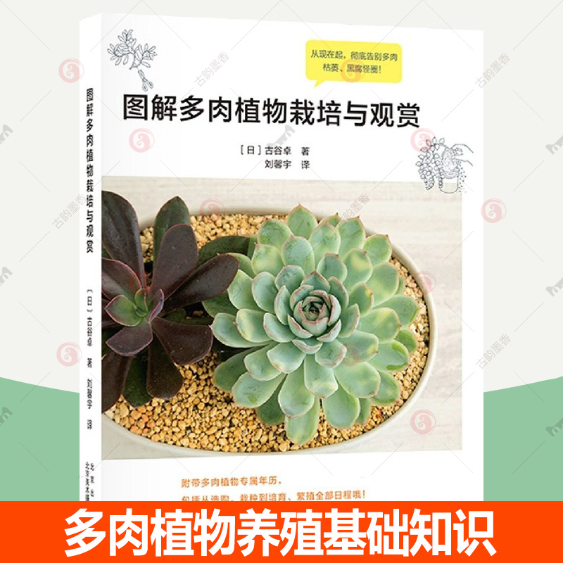 图解多肉植物栽培与观赏 多肉植物养殖基础知识 多肉栽培教程详解 四季分类多肉的栽培方法 1本在手秒变多肉达人 生活艺术园艺书籍