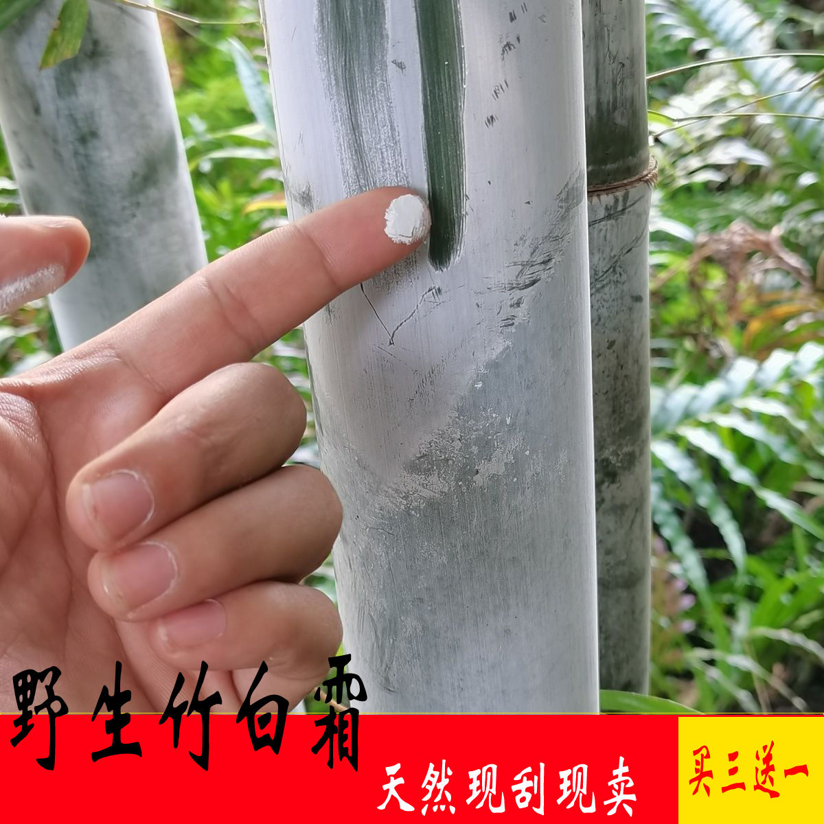 竹白霜粉丹竹灰单竹霜竹白灰纯天然丹竹白霜竹节霜野生老茶油