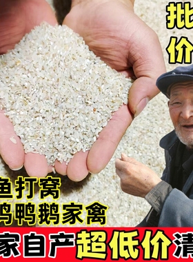色选碎大米喂鸡特价批发碎米喂鸡鸭鹅猪煮粥喂狗大米便宜50斤