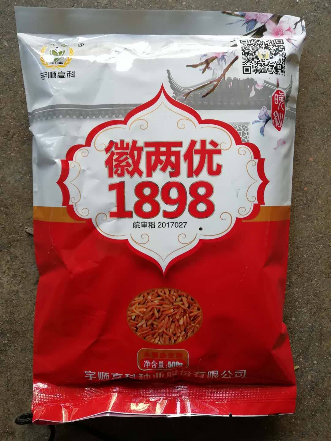 新品种红米种子小红稻稻谷杂交品种可少量试验种植