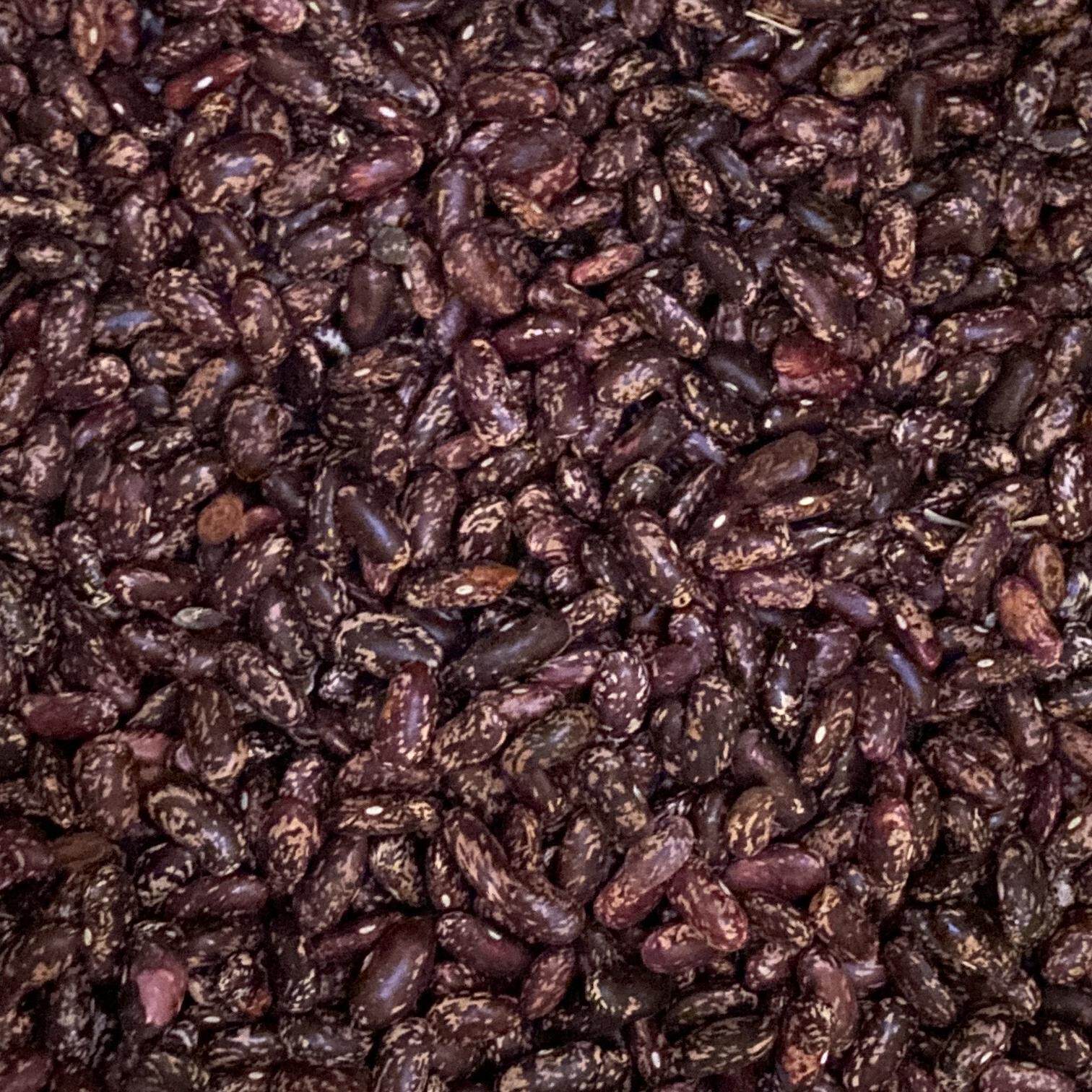 贵州花红豆精选农家花腰豆花豆新豆四季豆新鲜原生态散装豆米