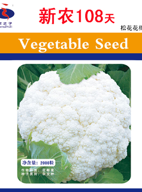 花菜种籽新农108天白色花椰菜晚熟大田农家菜龙之子农业松花种子