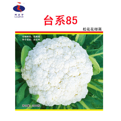 优品种台系85天菜籽好种植