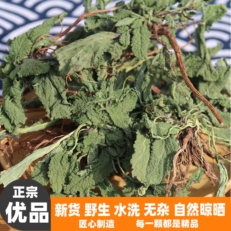 新鲜野生晒干的癞蛤蟆草整颗带根荔枝雪见草咽喉草中草药泡水500g