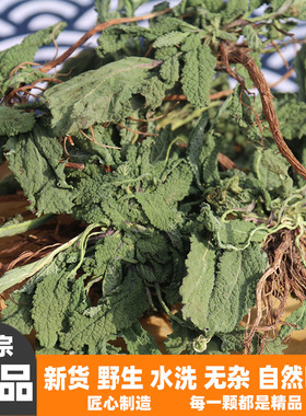 中药材癞蛤蟆草新鲜晒干野生天然整颗带根荔枝草雪见咽喉草泡水