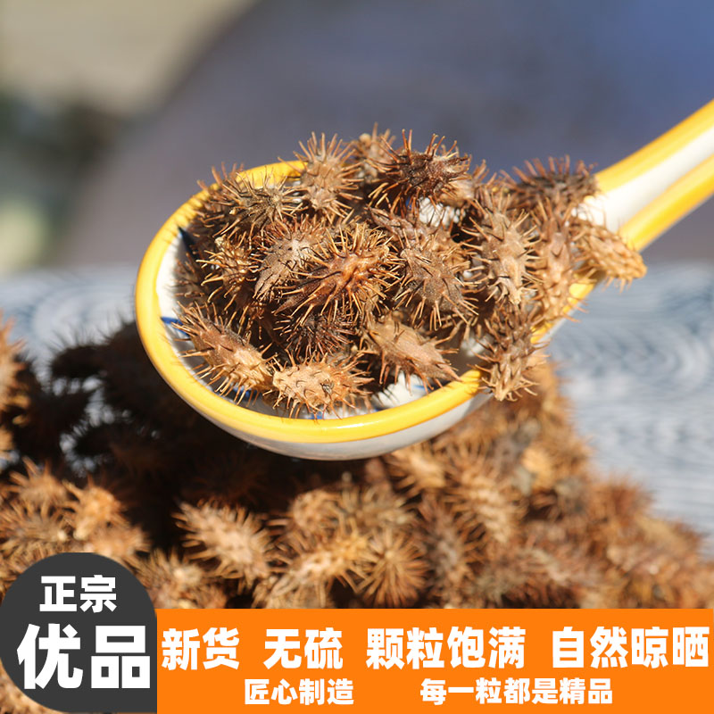 野生天然无硫苍耳子正品新货