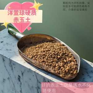 硬质赤玉土颗粒 多肉兰花铺面专用 盆景盆栽种植 乌龟爬宠垫材土