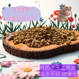 硬质赤玉土种花多肉土专用铺面石兰花土颗粒批发盆栽营养土