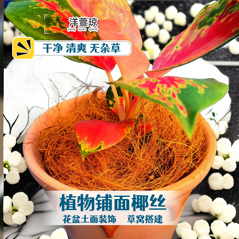 进口天然椰棕丝园艺花卉椰丝铺面花盆填充物盆栽装饰植物种花盖草,鲜花速递/花卉仿真/绿植园艺,其它园艺用品,淘宝优惠券,粉丝福利购,淘宝优惠卷
