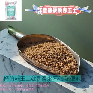 硬质赤玉土正品多肉颗粒土盆景专用爬宠铺面硬质营养土